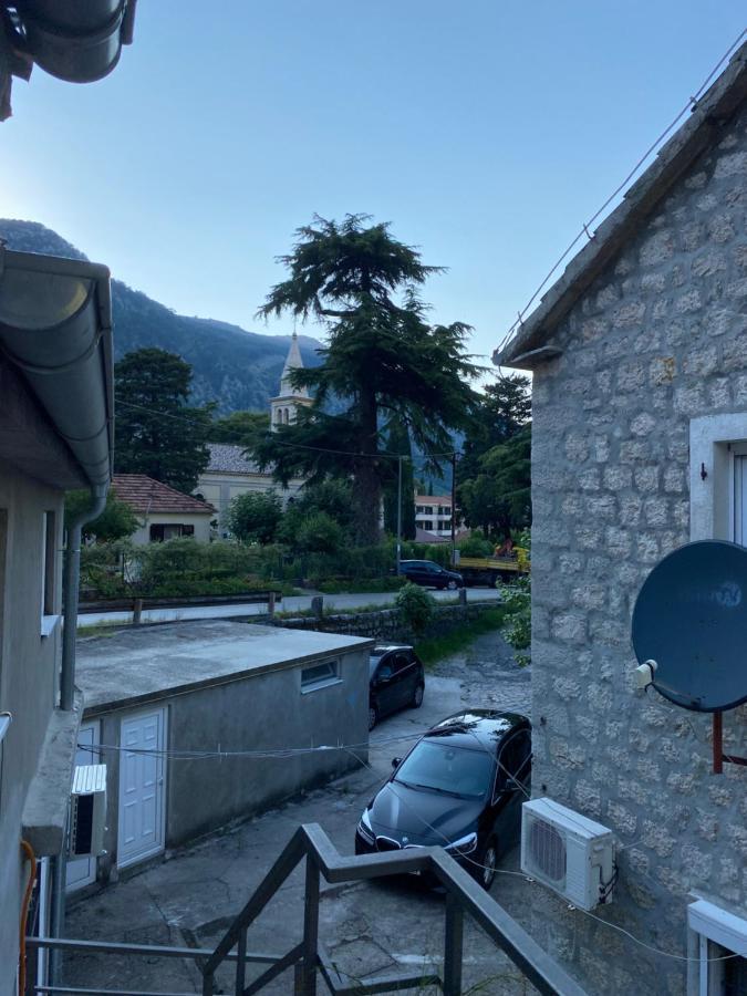 Goga Kotor